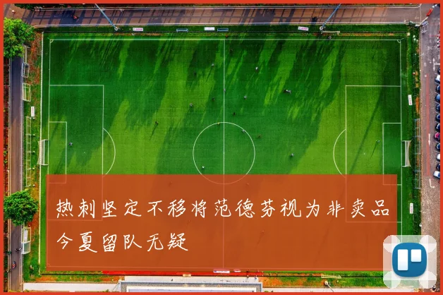 热刺坚定不移将范德芬视为非卖品今夏留队无疑